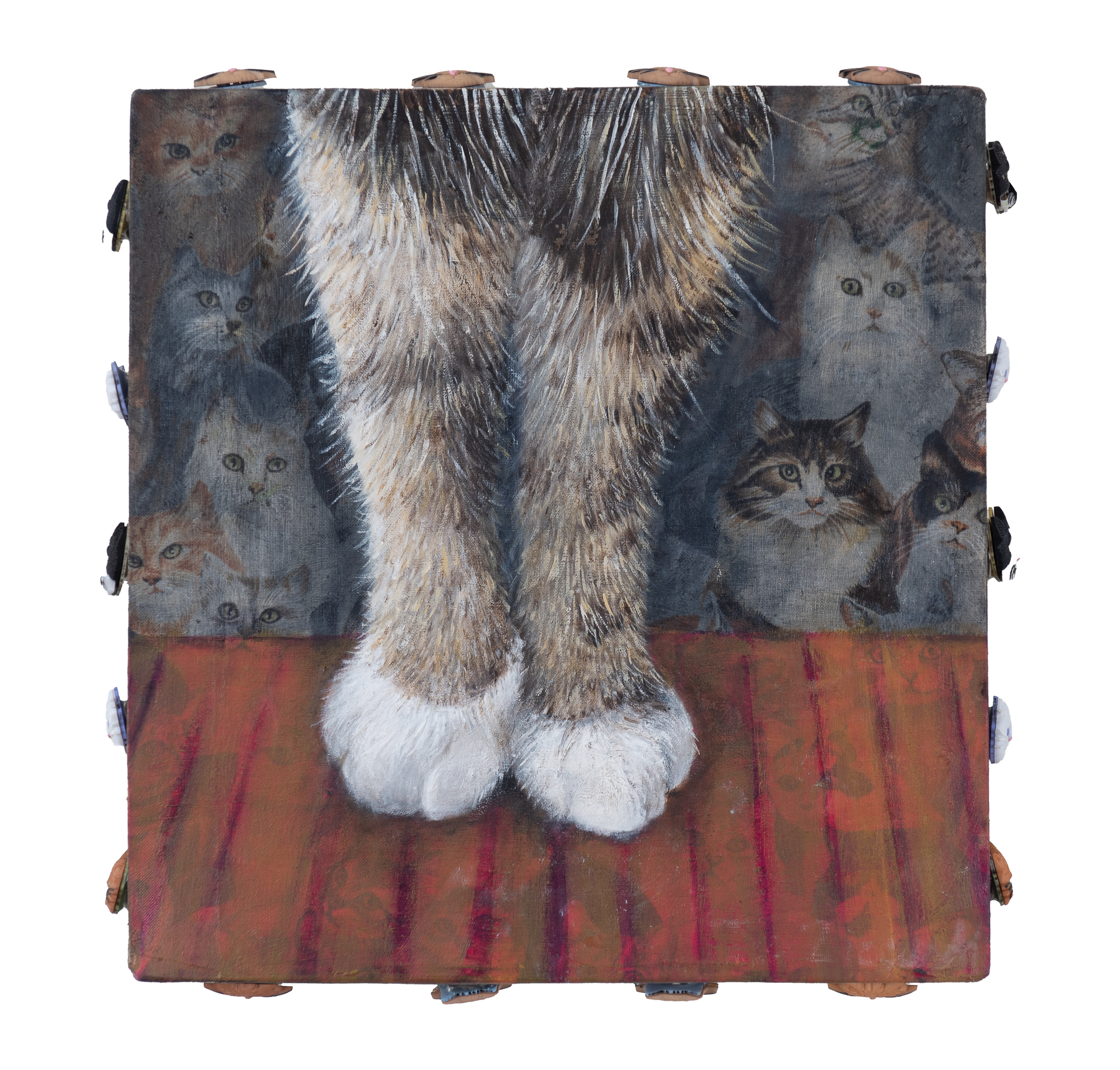 Cat Walk